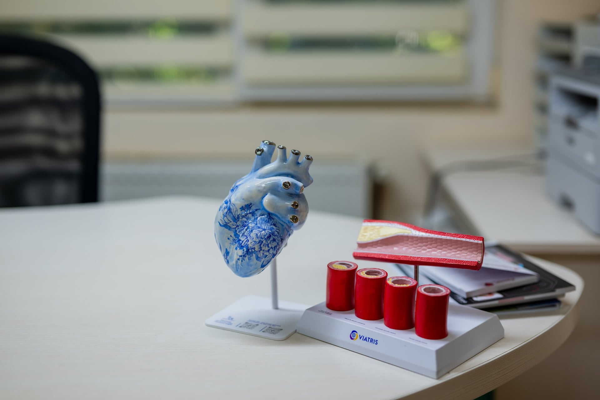 Modele anatomice pe biroul de consultație — inimă și artere